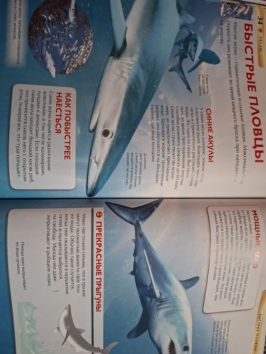 Продается книга энциклопедия