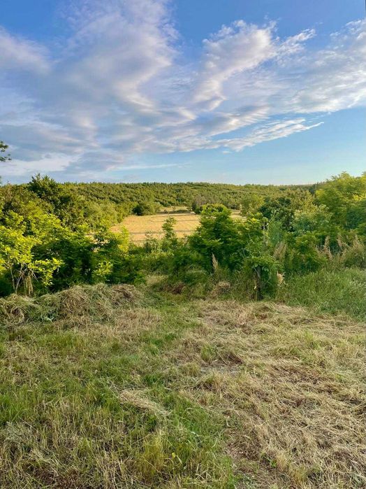 Teren intravilan 7.000 mp (5.500 mp + 1.500 mp bonus) – zonă deosebită, Mischii