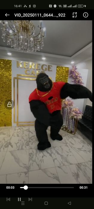 Костюм Аниматор Кинг конг