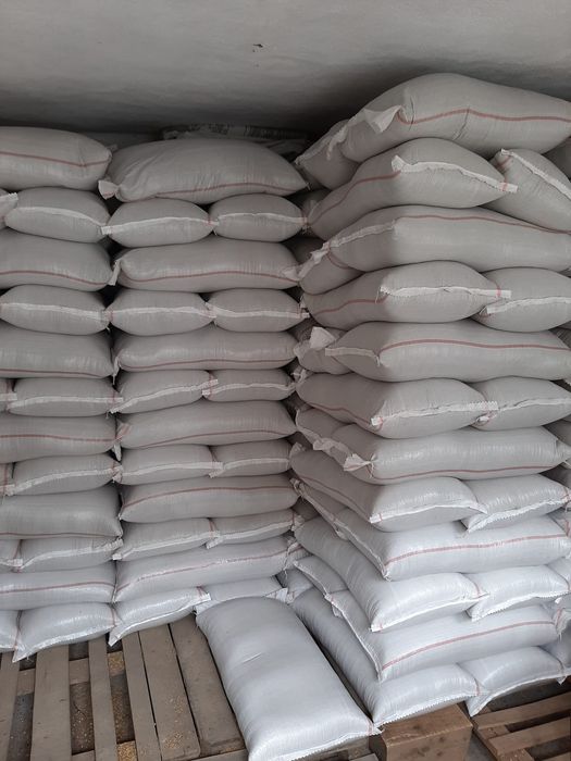 Vand triticale/grau furajer