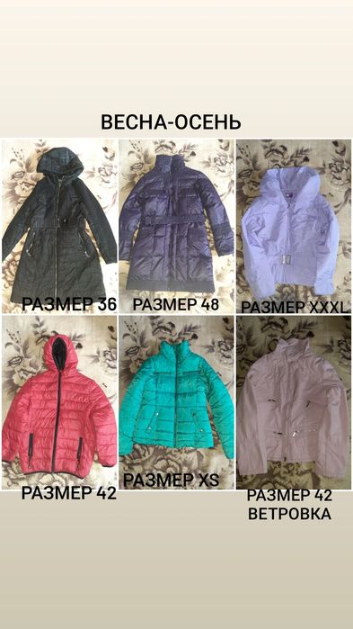Куртки: весна, осень, зима