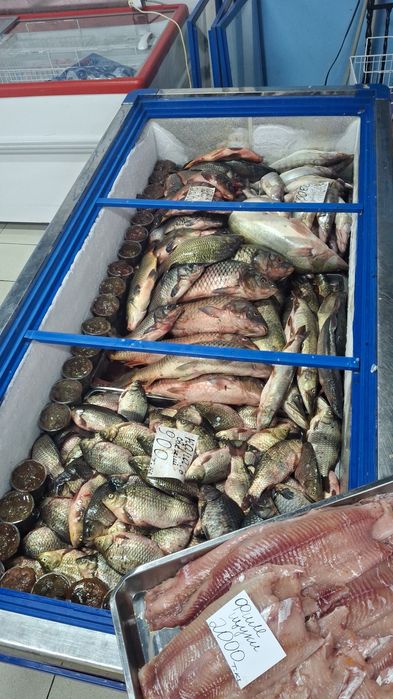 Рыба Балык оптом и розницу