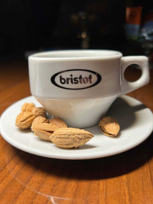 Итальянский зерновой кофе Bristot для вендинговых аппаратов