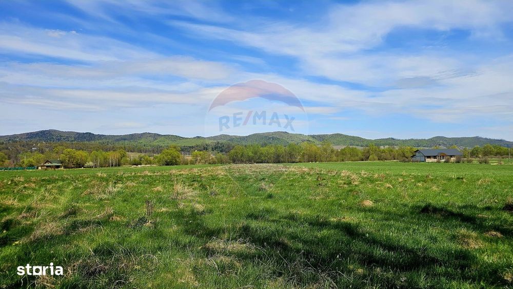 Teren 10,000mp Nemtisor / DJ 155C