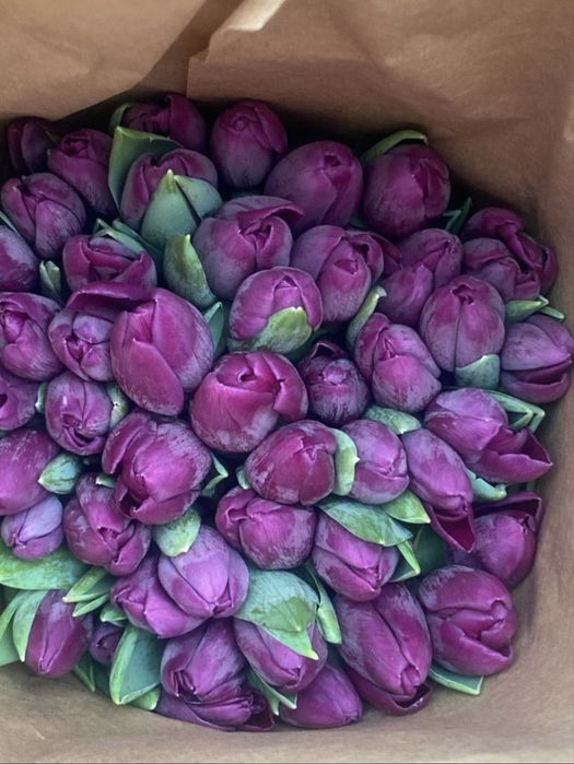 Тюльпаны на 8 марта