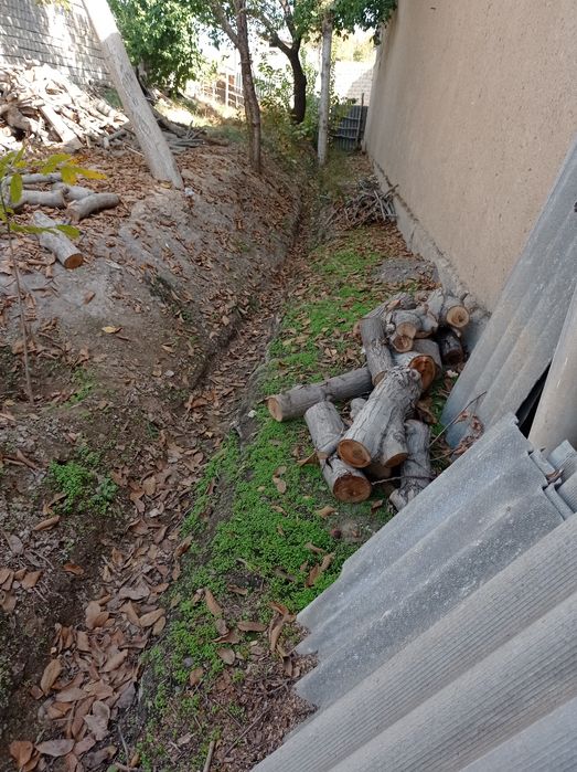 Otin tosinla hammasi 5mln tayyor kesilgan