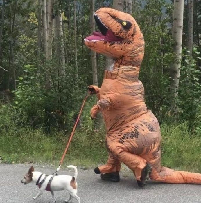 Сдаётся надувной денозавр