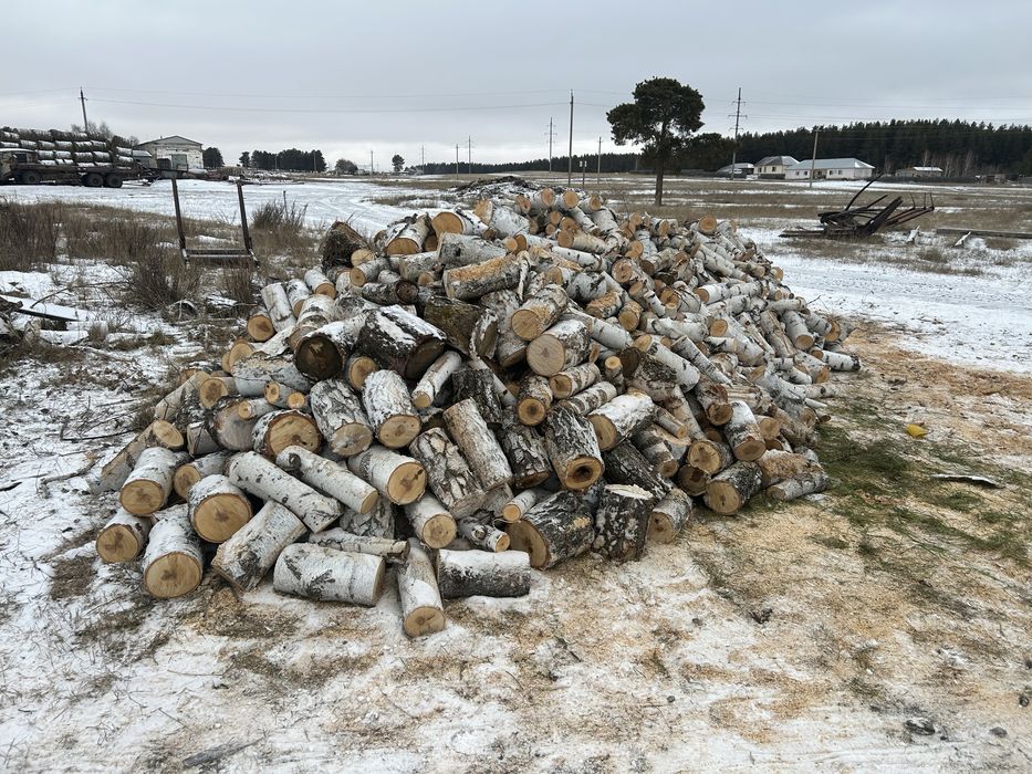 Продам дрова (берёза)