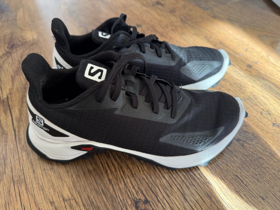 Маратонки Salomon alpha cross