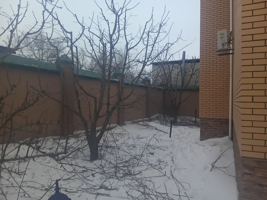 Обрезка деревьев