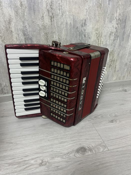 Acordeon pt copii