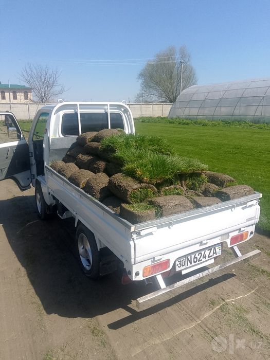 Gazon rulon va landshaft dizayni xizmatlari