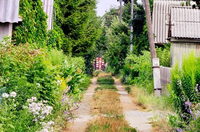 Дача 6 соток | Чапаевские дачи