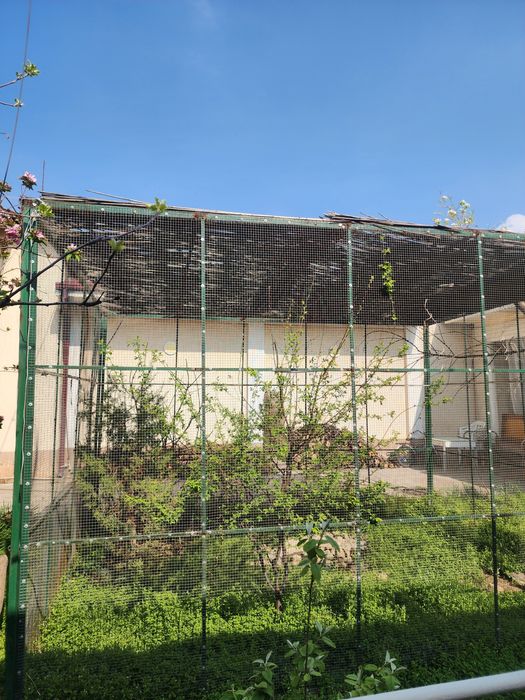 Qushlar uchun kotta Qafas sotiladi, продаётся клетка для птиц.