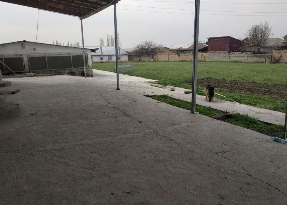 Toshkent tumani Keles Novoi 48 soti joy sotiladi kattej qurishga