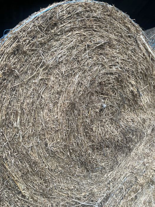 Vand baloti uscati / infoliati