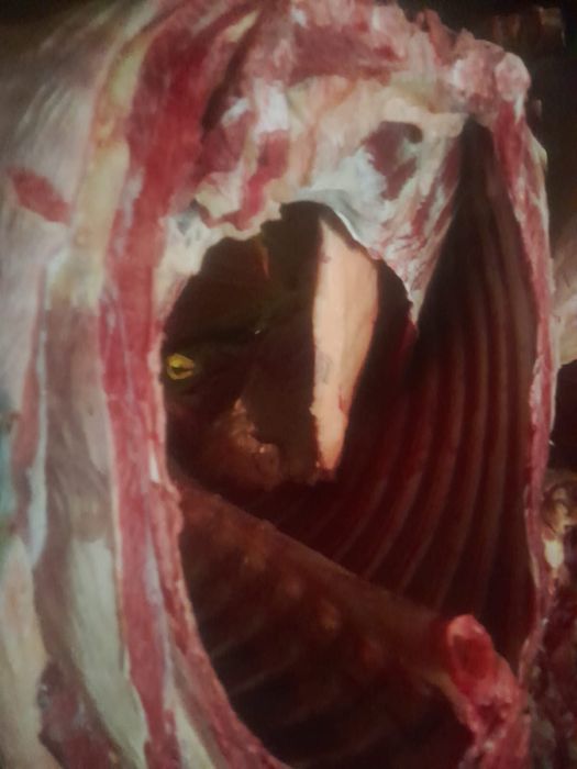 Продается мясо. Согым