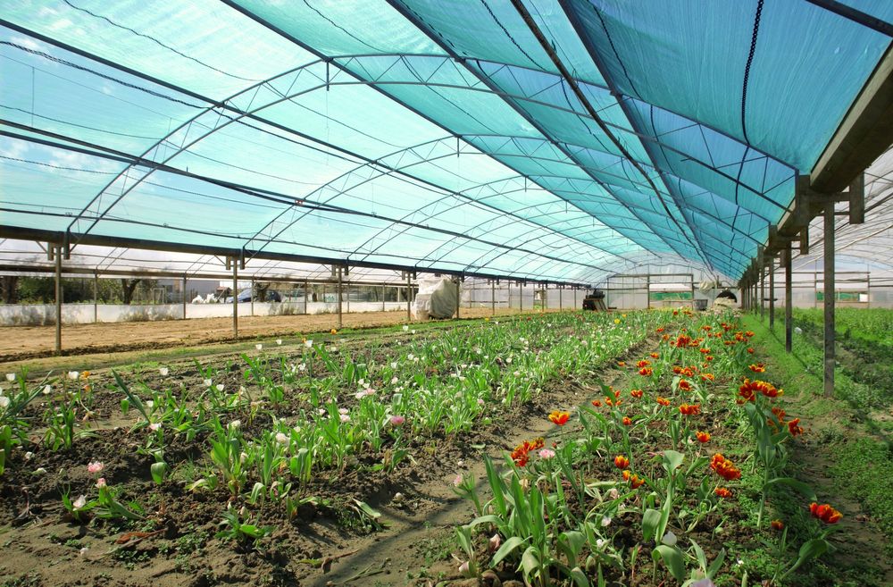 Притеняющая сетка