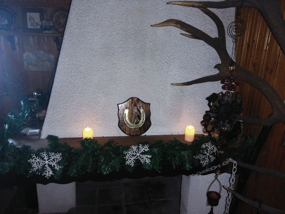 Уникален сувенир за поколения - конска подкова