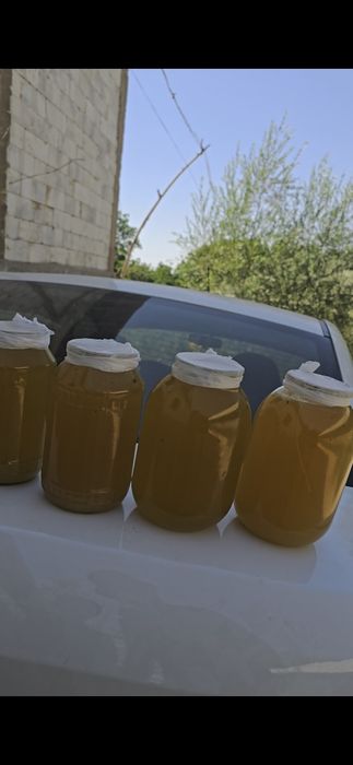 Toza hsor tog' asali