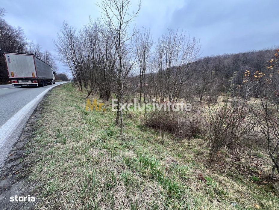 Teren intravilan 6.500 m²–Deschidere 144 ml drum european E81, km 35,
