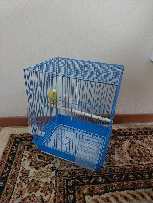 Попугай клетка корм