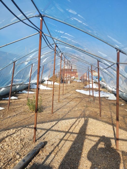 Продаётся Теплица срочно