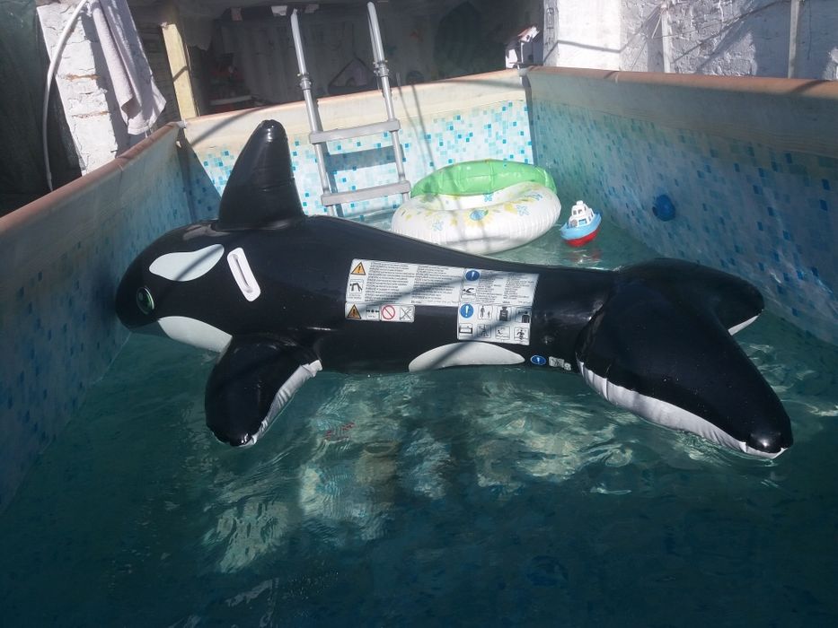 надувной круг касатка