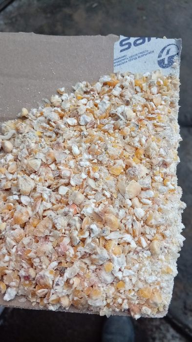 Кукуруза  дробленная