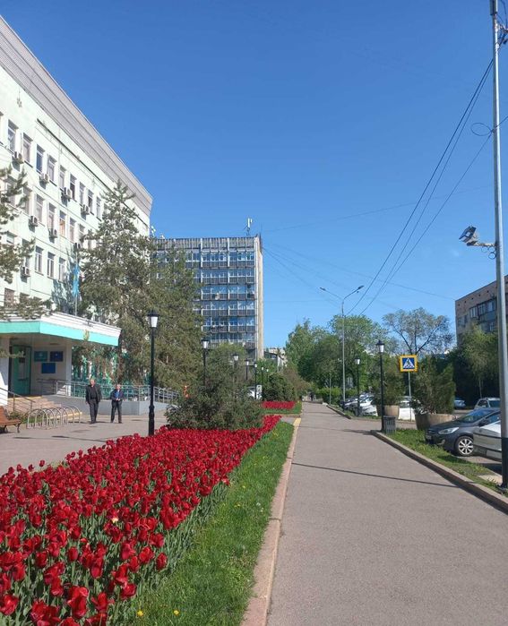Ведение вашей бухгалтерии, налоги, кадры