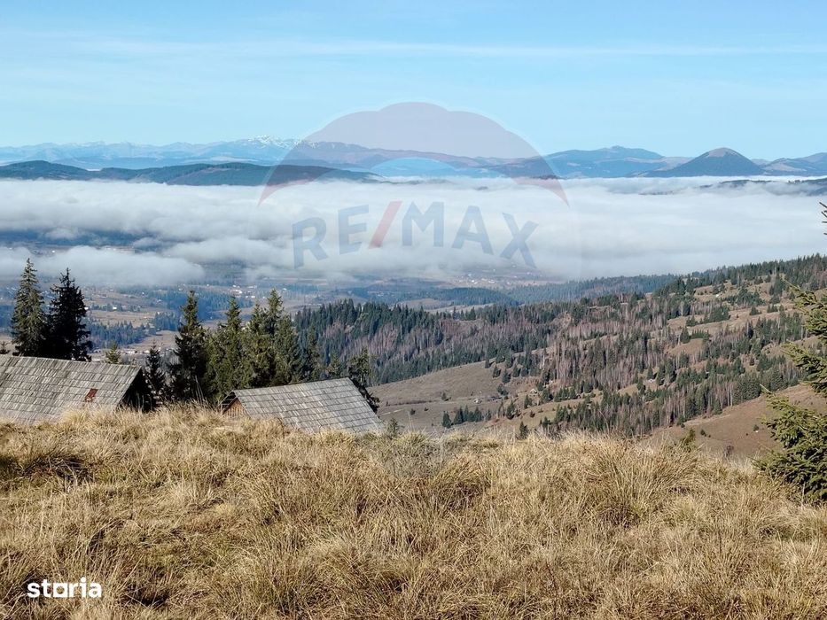 Teren 31,461mp Panaci / Prelungirea Ialovita