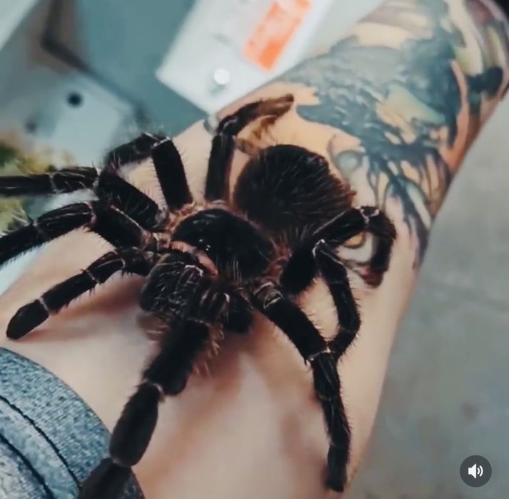 Шоу программа Фактор страха.,Кажется нащупал