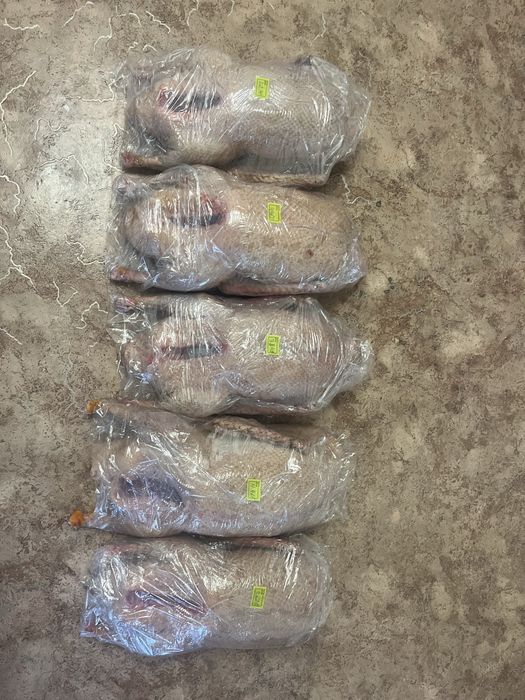 Продам гусей доставка есть