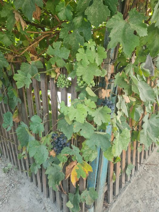 продам 4-х ком. дом район дет.мир