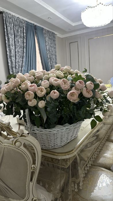 Цветы пионы 201