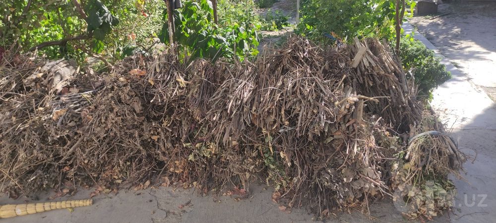 Утин арзон сотаман ховлини тозалаш керак. Продам дрова дёшево.