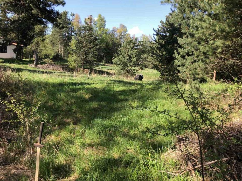 Парцел за продажба в Цигов чарк