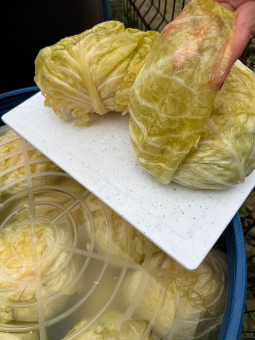 Vand varză murată.