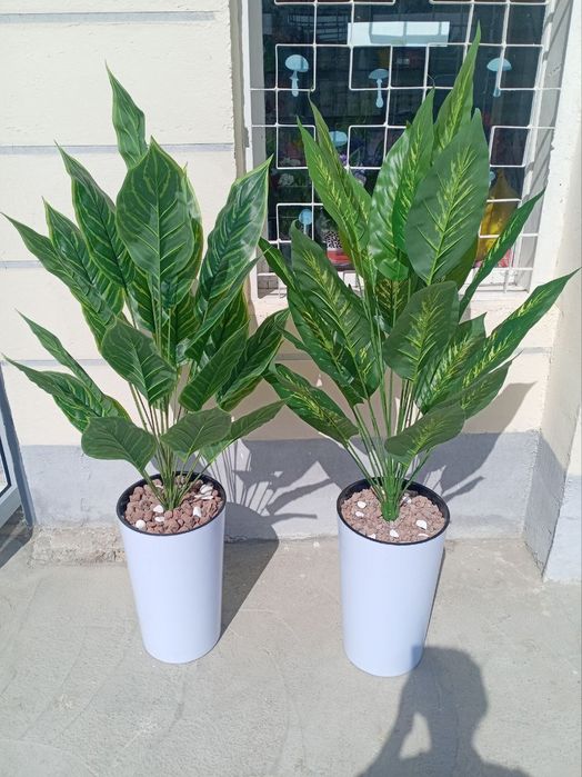 Навои Суний ва декоратив гуллар. Арзон ва сифатли танлов