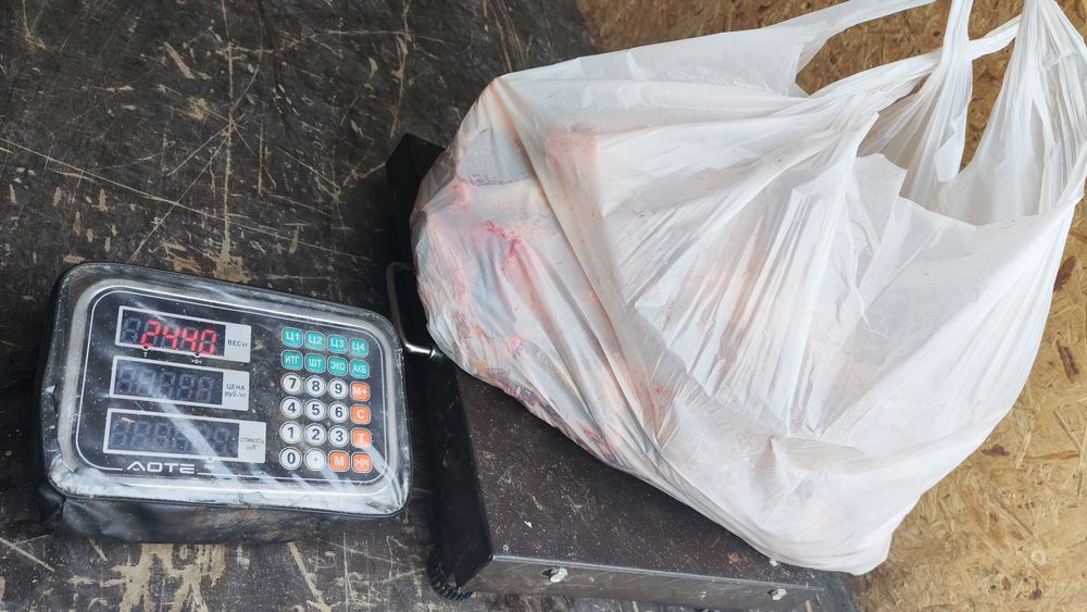 Жылкы конина мясо