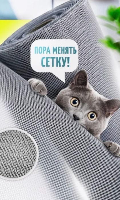 Сетки Антикошка на окна и двери.