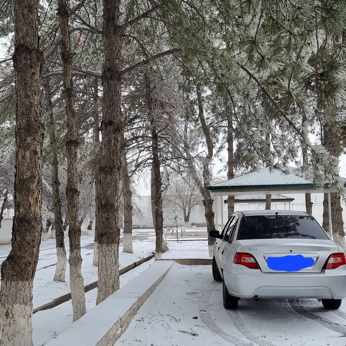 Нехиа 2 с хорошим состоянии