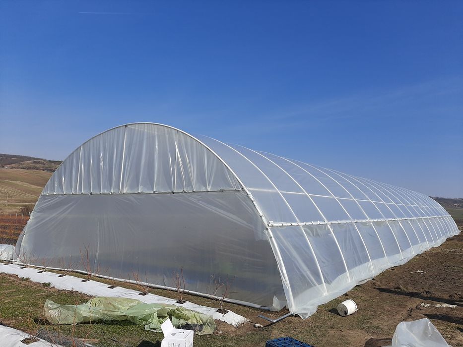 Solar flori sau legume