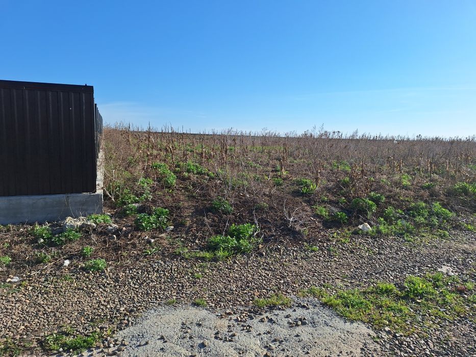 Teren 700m²  intravilan Catamaresti Deal