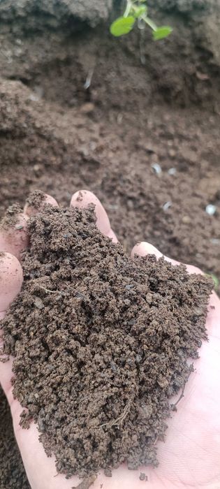 Перегной, компост высшего качества