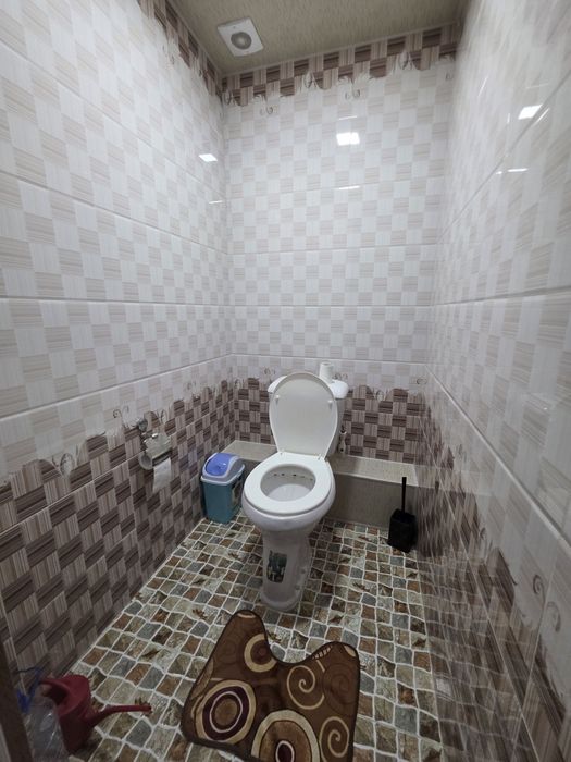 Zarafshon domi shir oldida