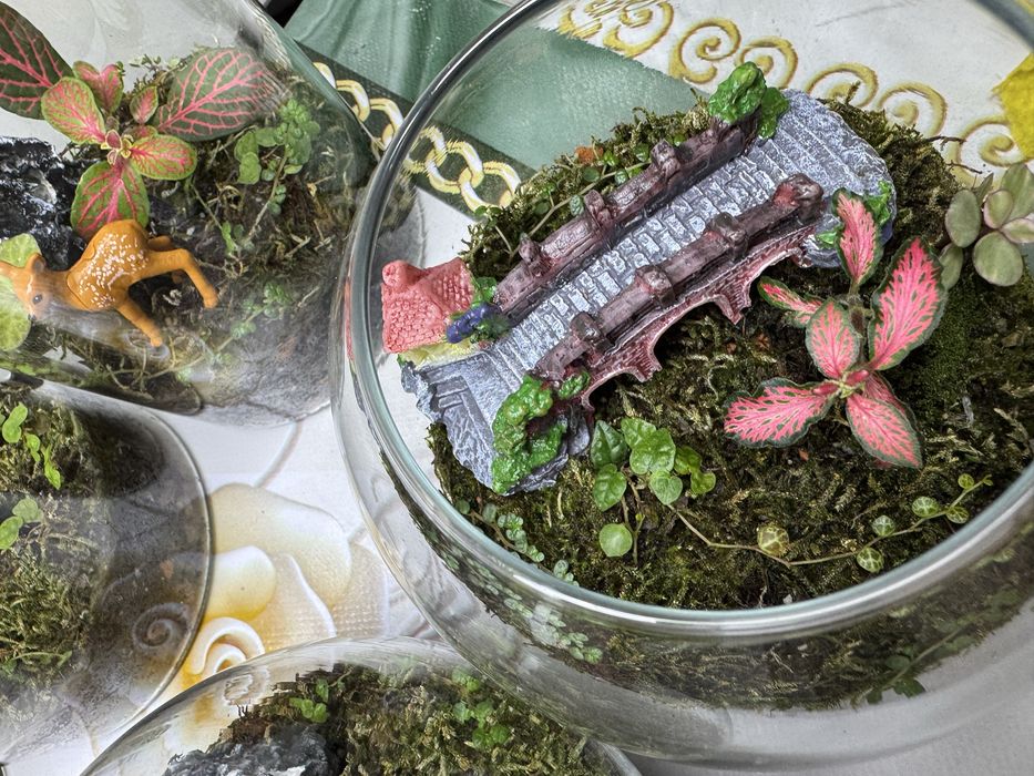Продам флорариумы!