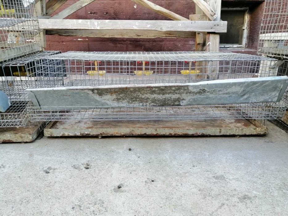 Клетка для перепелов