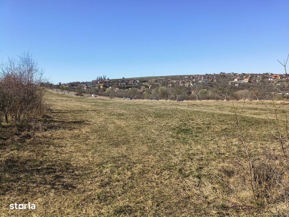 Teren de vânzare Daia Nouă Sibiu - Ideal casă sau cabană