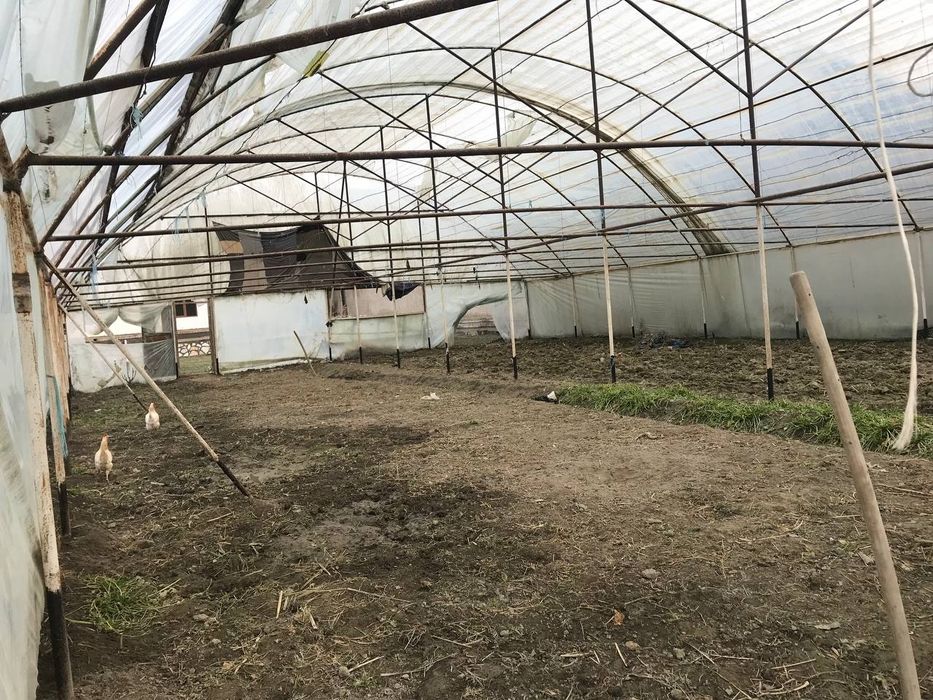 Issiqxona (parnik) 2.5 sotix